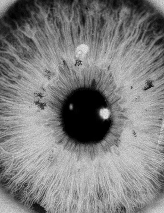 Archillect ID 39749