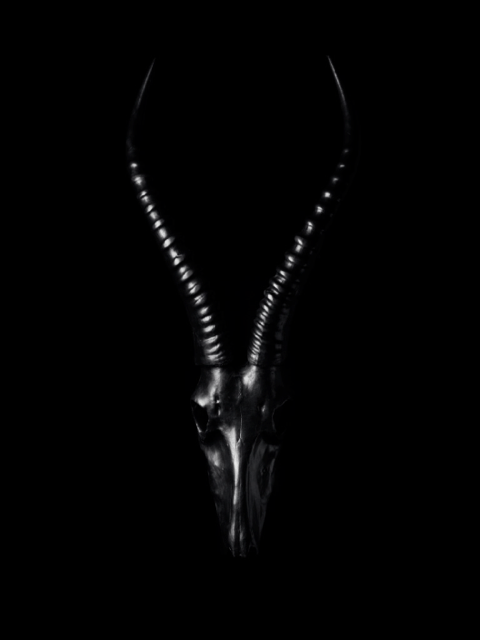 Archillect ID 39795