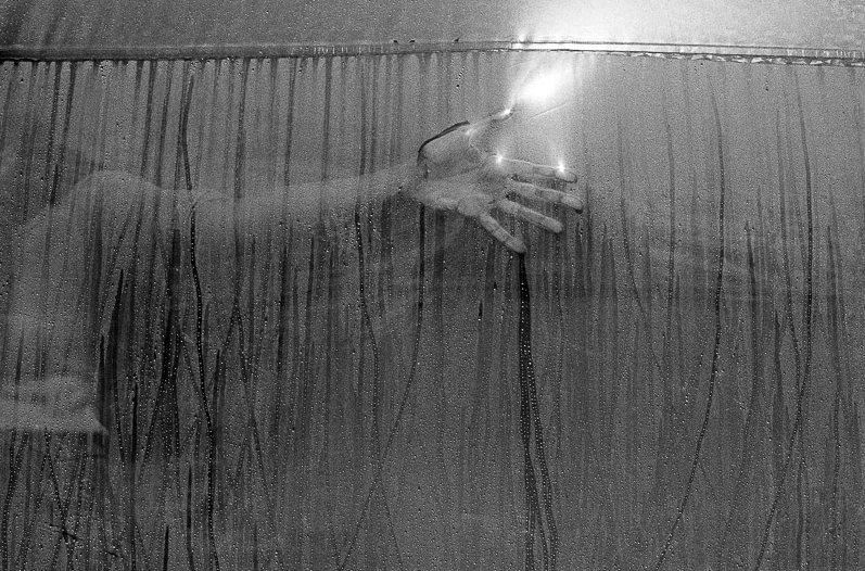 Archillect ID 39797