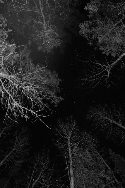 Archillect ID 39911