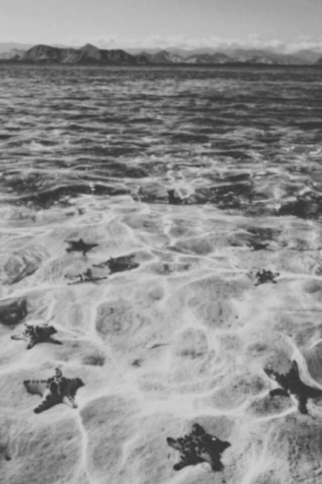 Archillect ID 40024