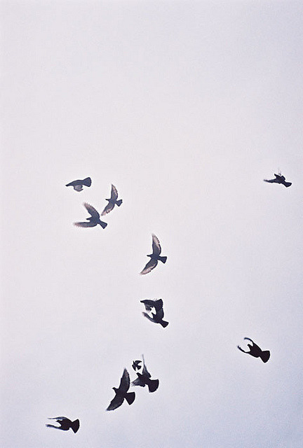 Archillect ID 40033