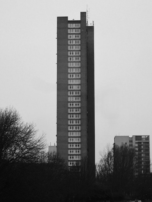 Archillect ID 40068
