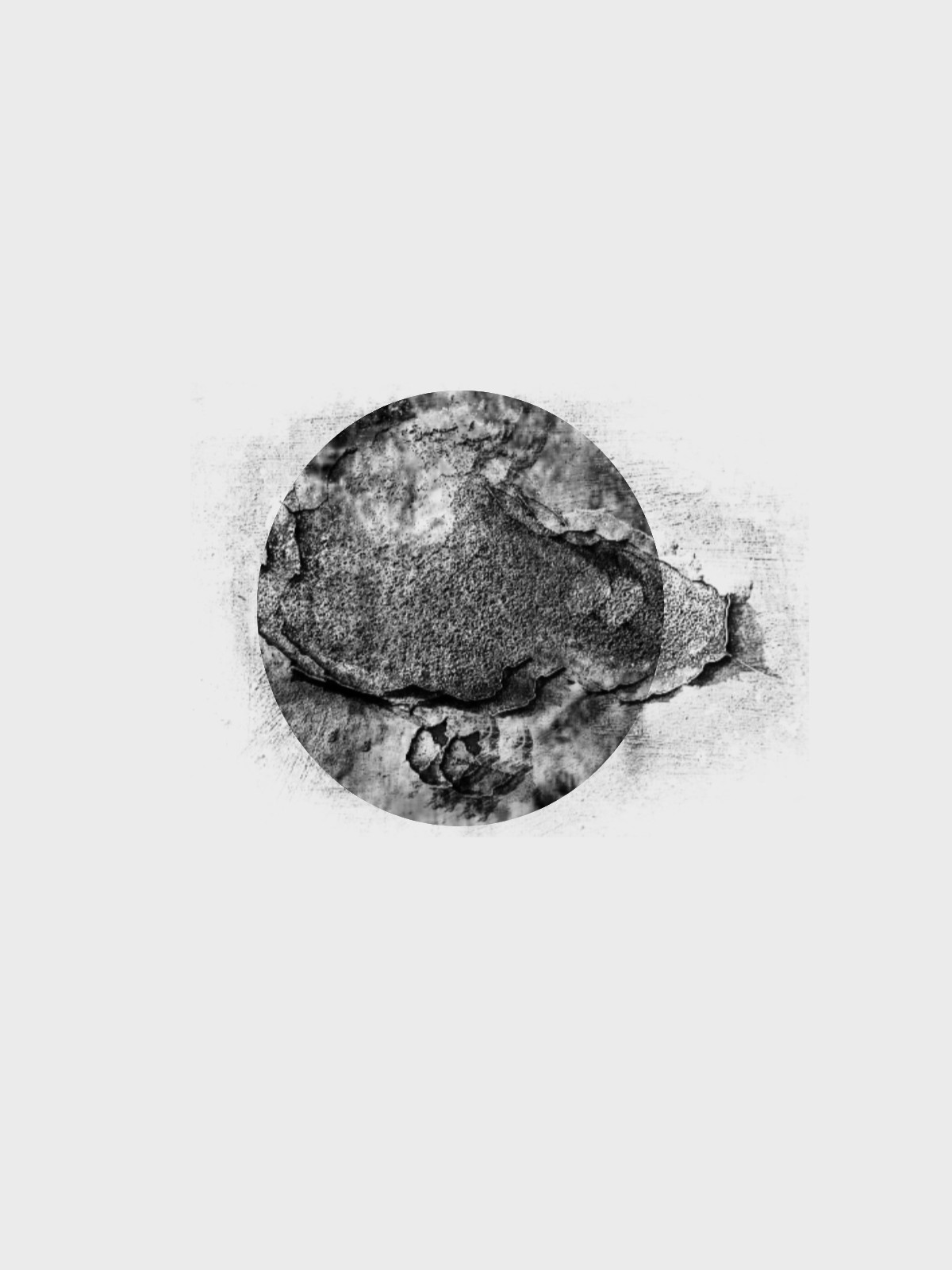 Archillect ID 40142