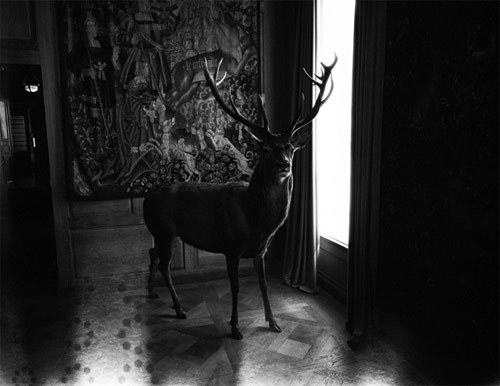 Archillect ID 40236