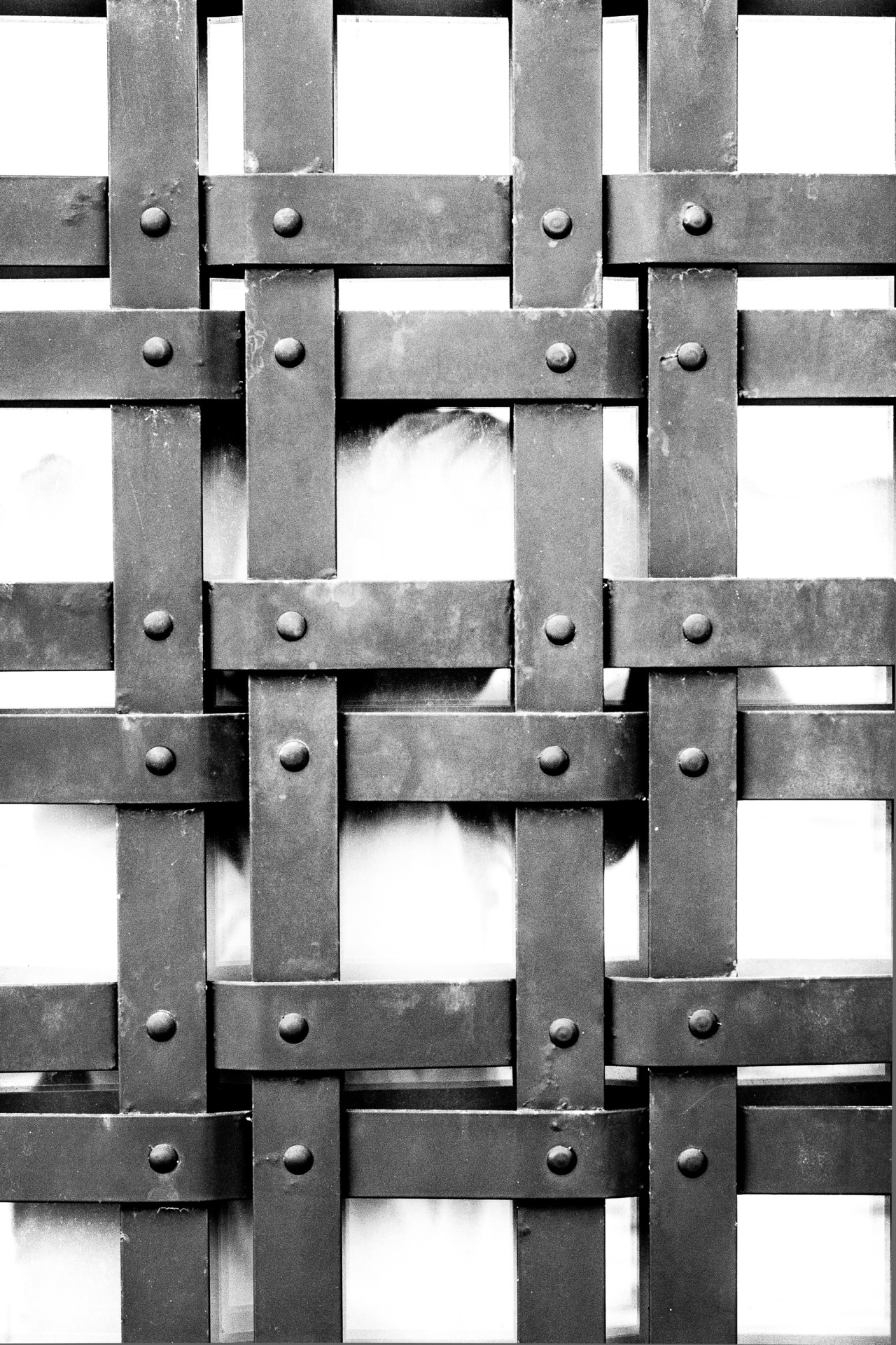 Archillect ID 40326