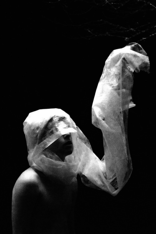 Archillect ID 40362