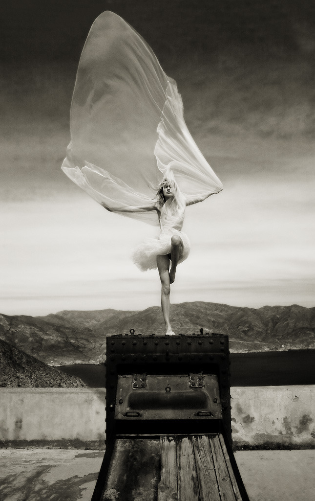 Archillect ID 40393