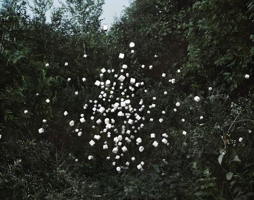 Archillect ID 40519