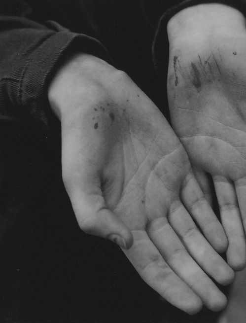 Archillect ID 40554