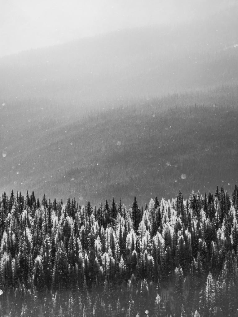 Archillect ID 40615