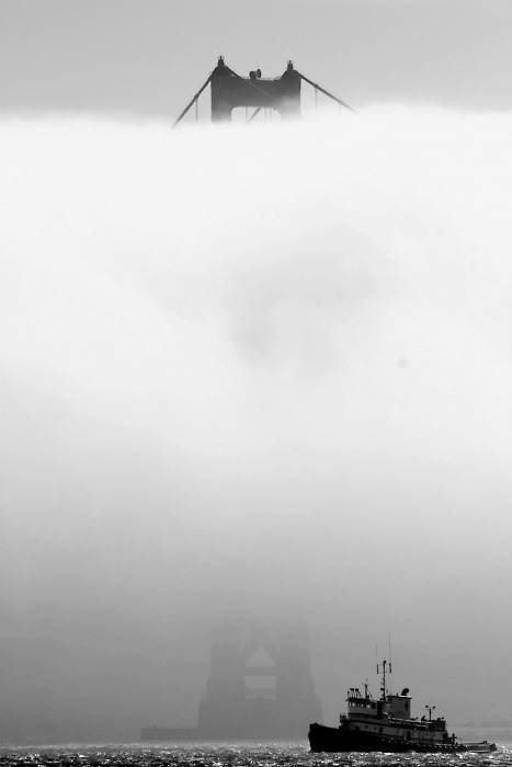 Archillect ID 40654