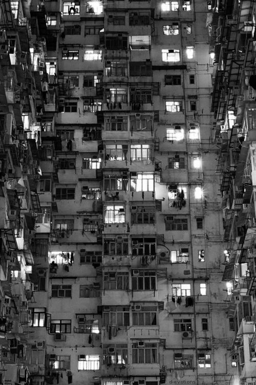 Archillect ID 40717