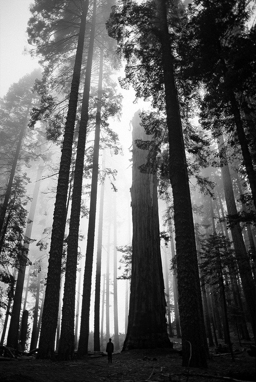 Archillect ID 40792