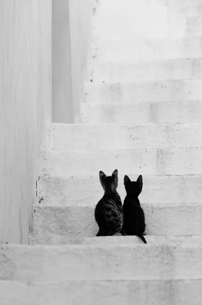 Archillect ID 40813