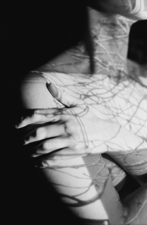 Archillect ID 40929