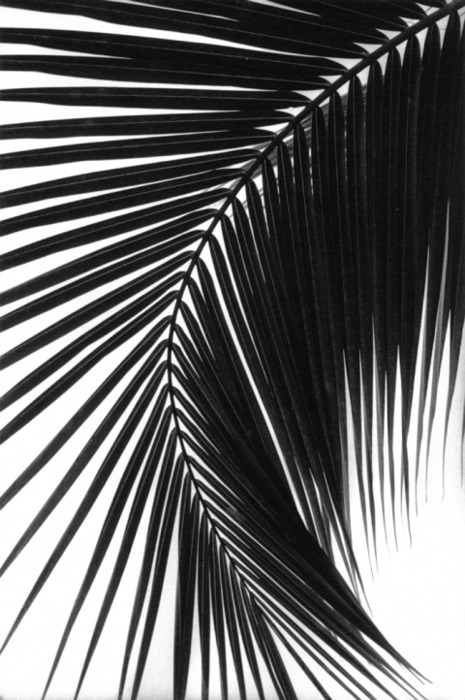 Archillect ID 40960