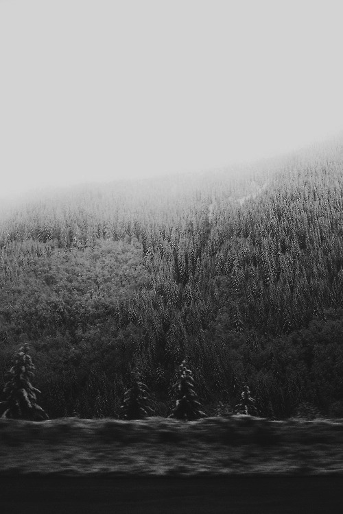 Archillect ID 40983