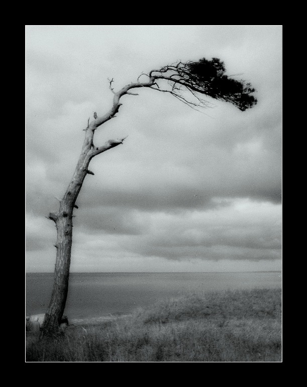 Archillect ID 40986
