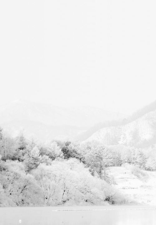 Archillect ID 41002