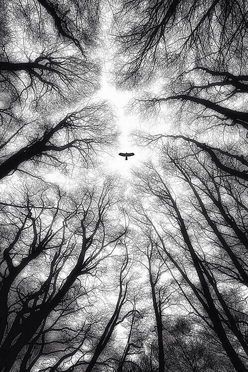 Archillect ID 41015
