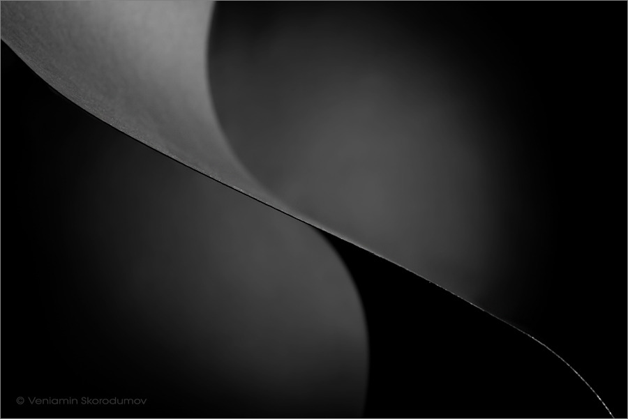 Archillect ID 41032