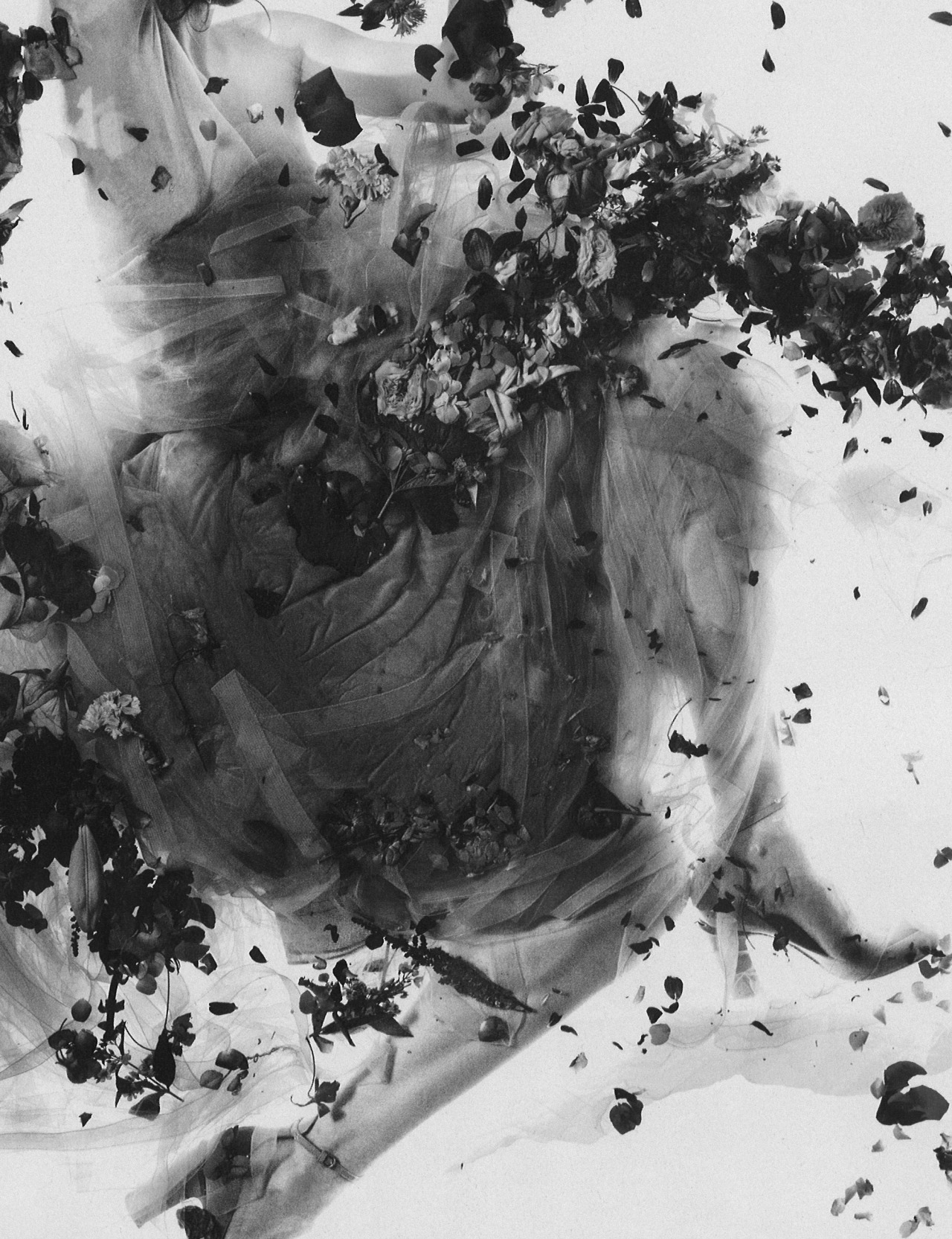 Archillect ID 41047