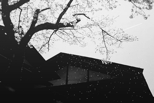 Archillect ID 41078