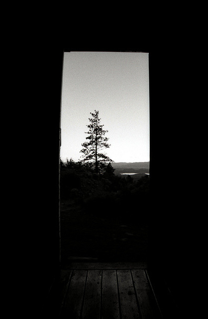 Archillect ID 41131