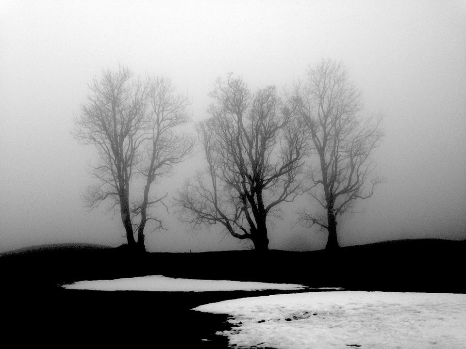 Archillect ID 41252