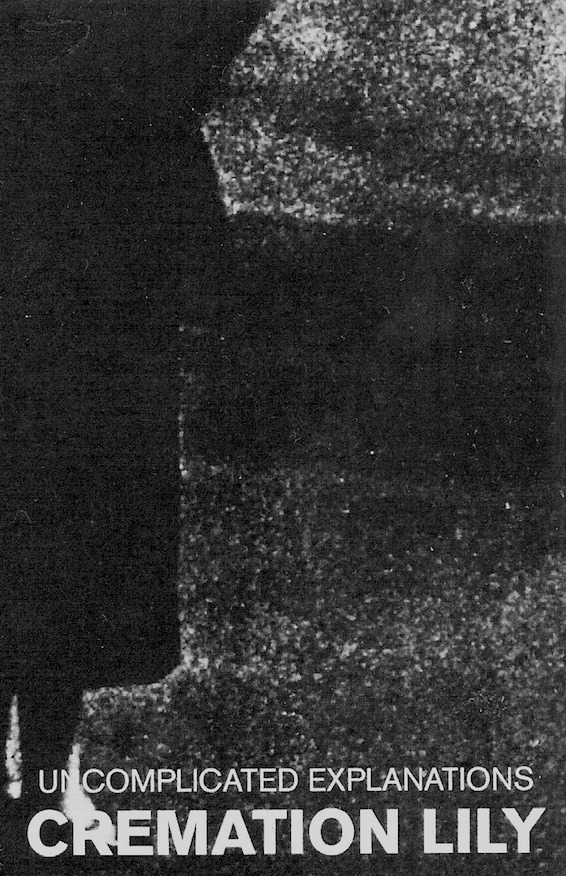 Archillect ID 41392