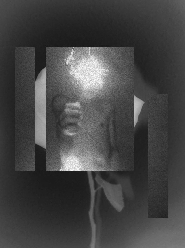 Archillect ID 41405