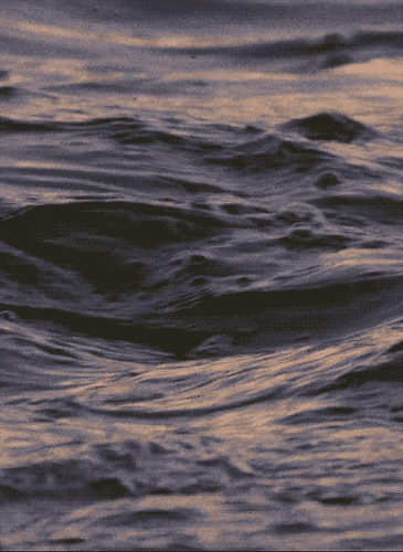 Archillect ID 41425