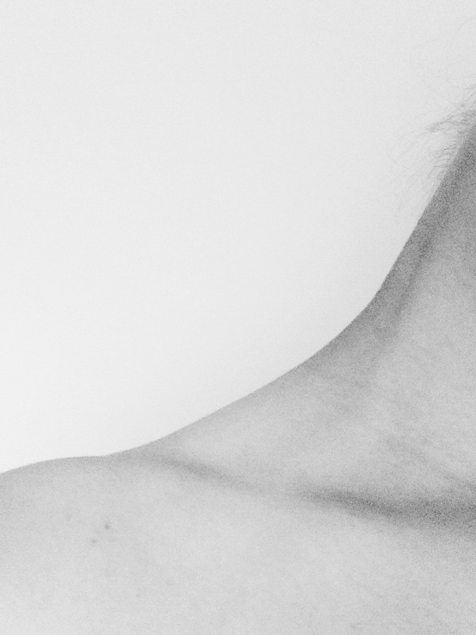 Archillect ID 41546