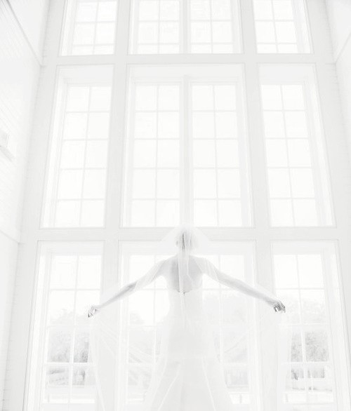 Archillect ID 41587