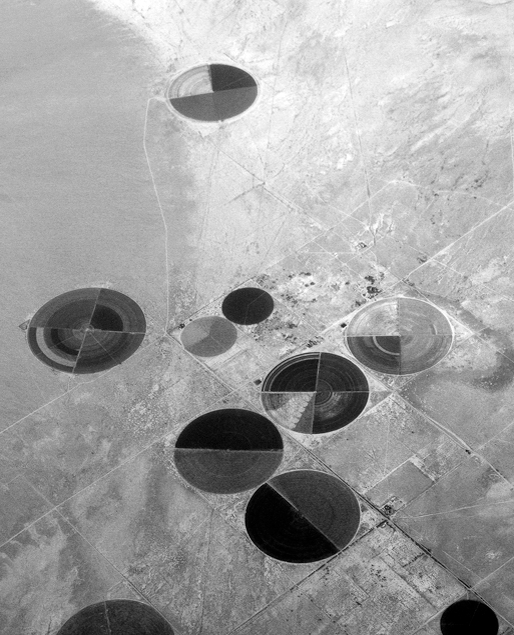 Archillect ID 41642