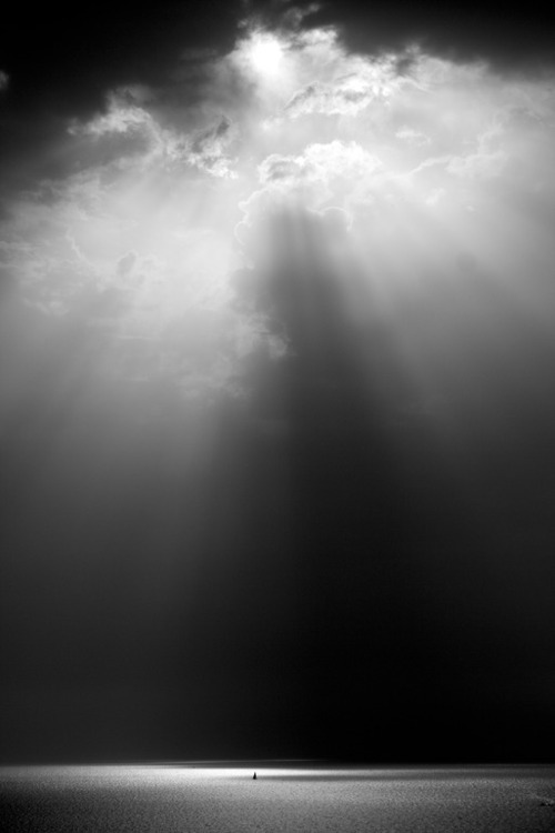 Archillect ID 41873