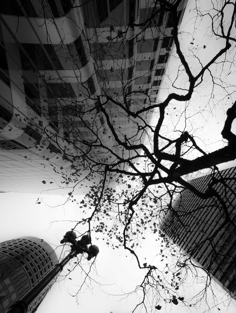 Archillect ID 41942