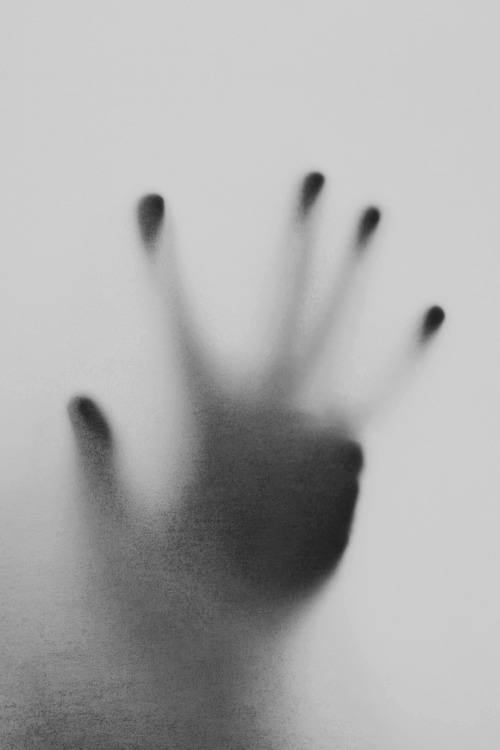 Archillect ID 41982