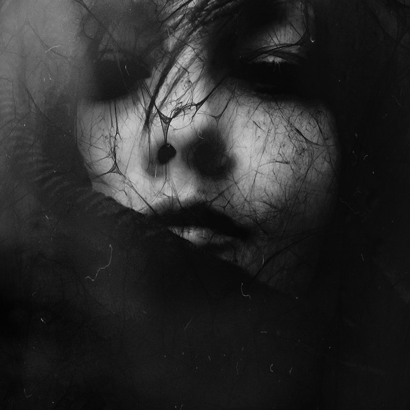 Archillect ID 42012