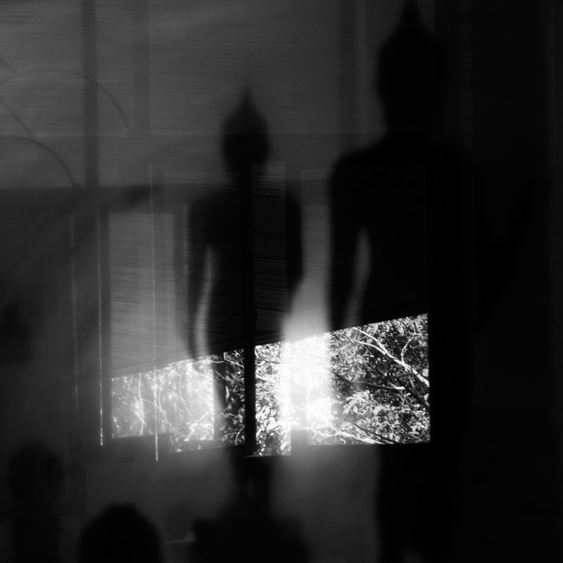 Archillect ID 42019