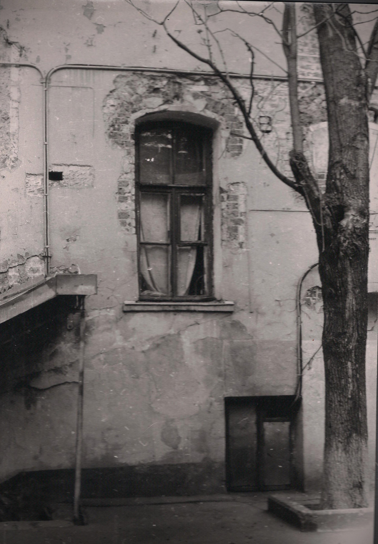 Archillect ID 42024
