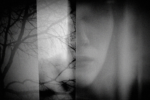 Archillect ID 42043