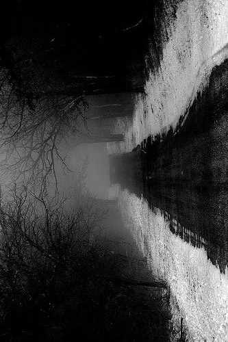 Archillect ID 42170