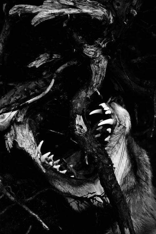 Archillect ID 42179