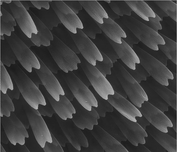 Archillect ID 42190