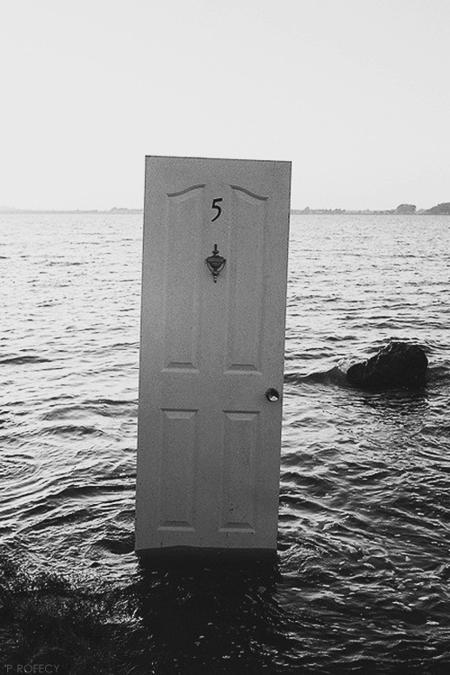 Archillect ID 42295