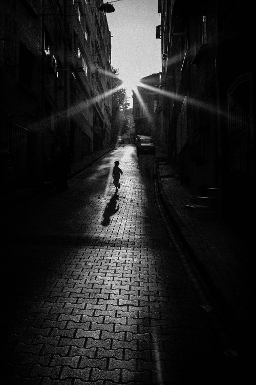 Archillect ID 42367