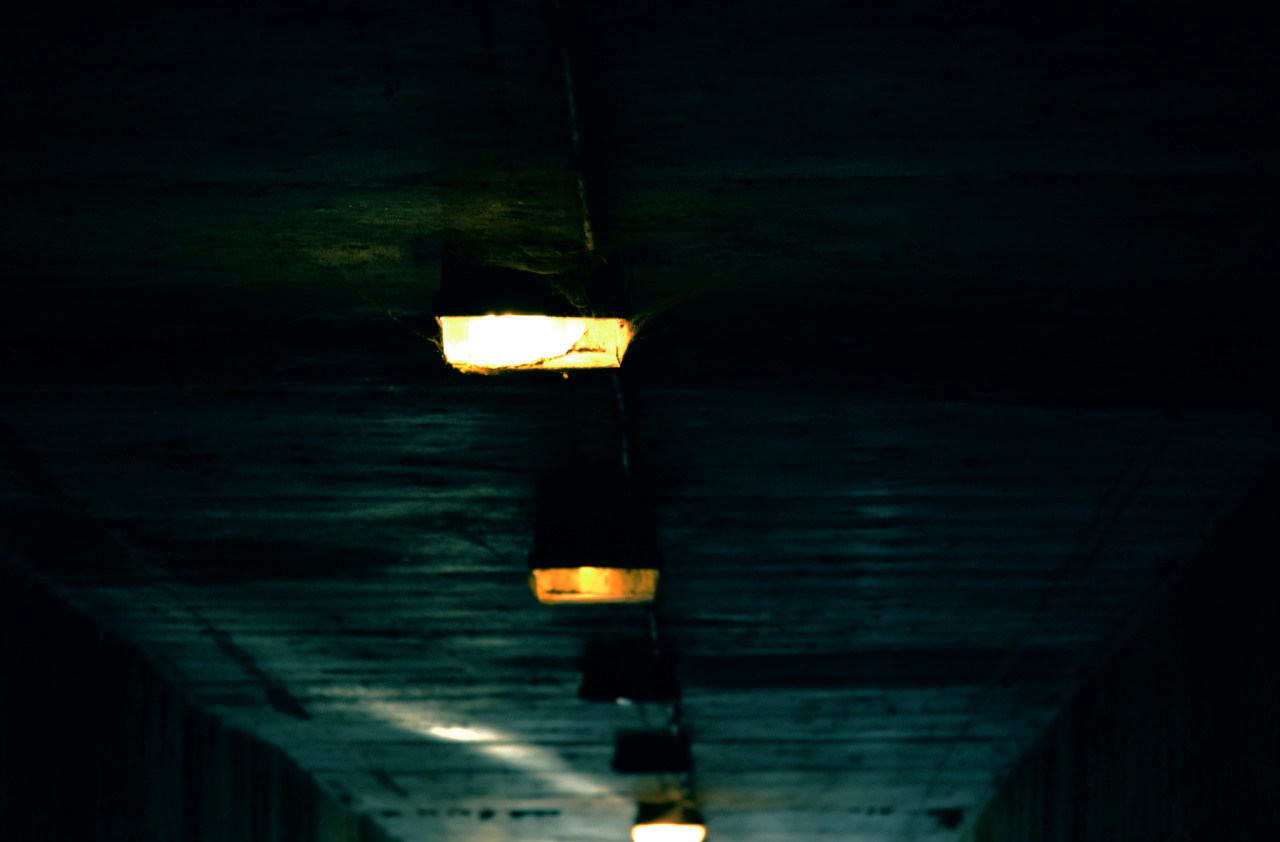 Archillect ID 42370