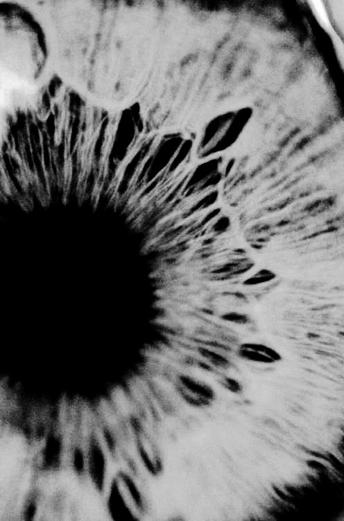 Archillect ID 42386